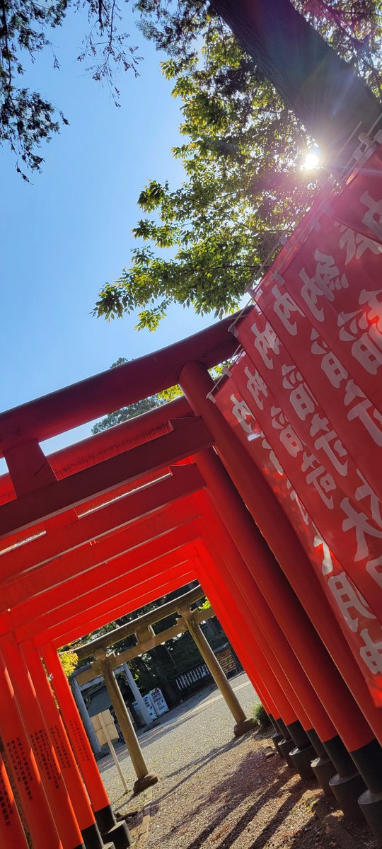 Let's enjoy Mito to the fullest