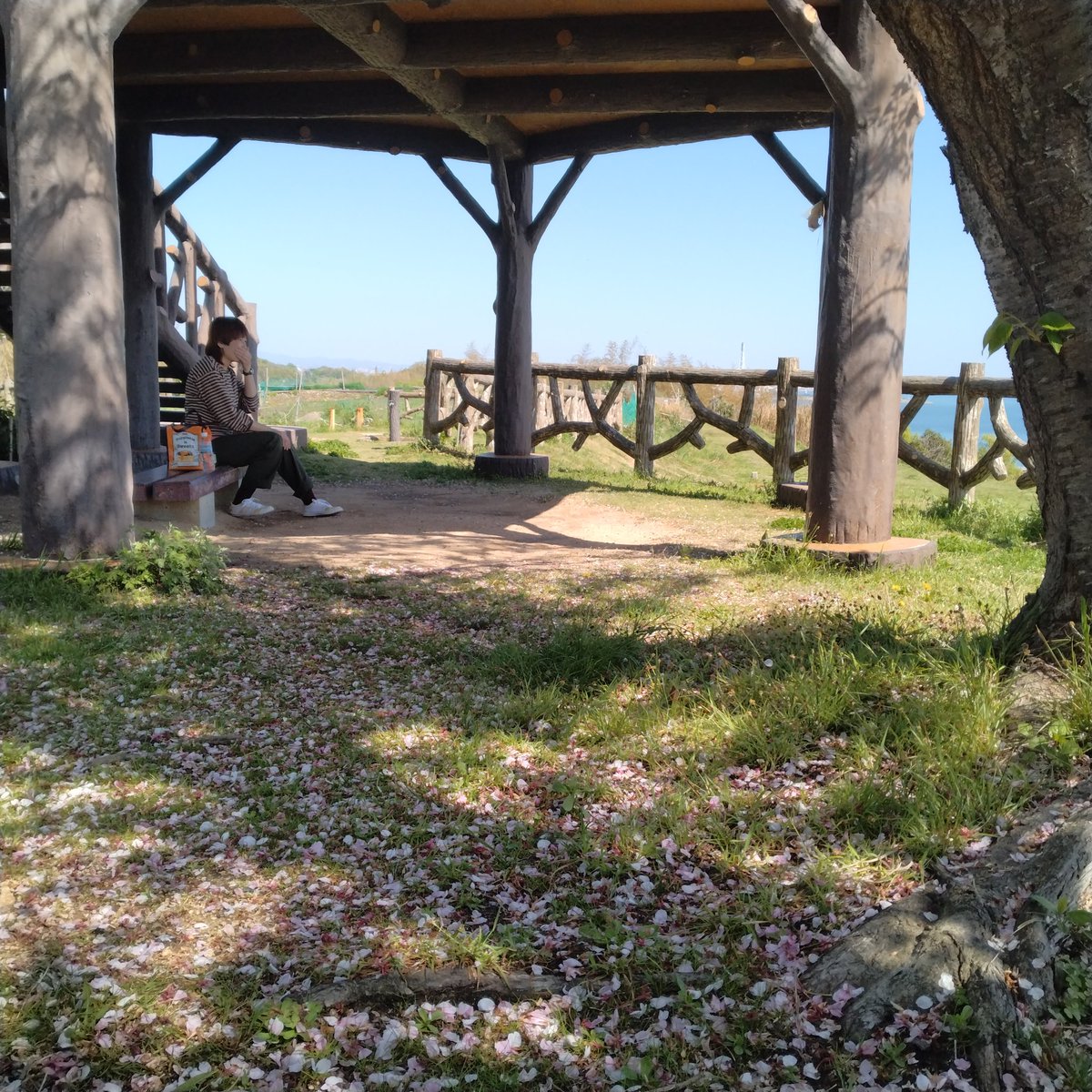 姫路の小赤壁公園へ