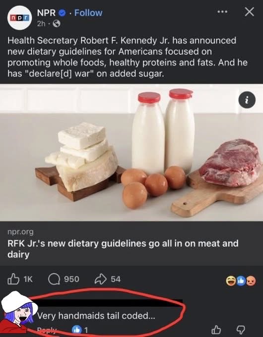 Rothmus 🏴 tweet media