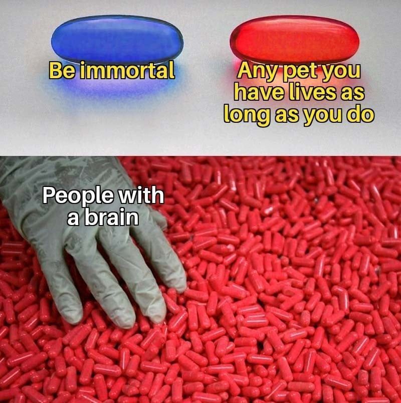 no context memes tweet media