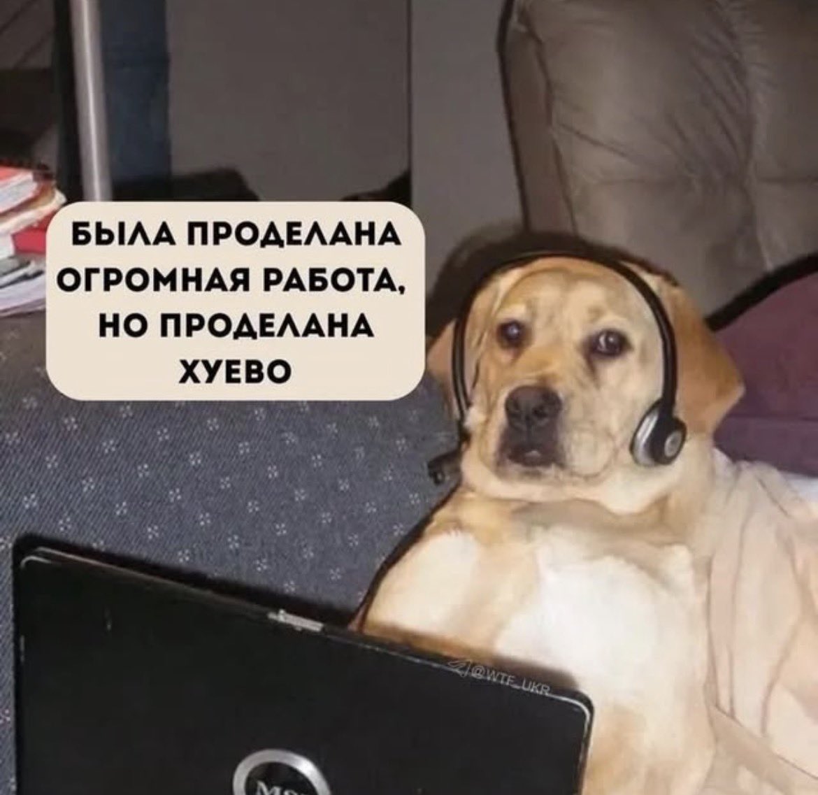 Anna Truf tweet media