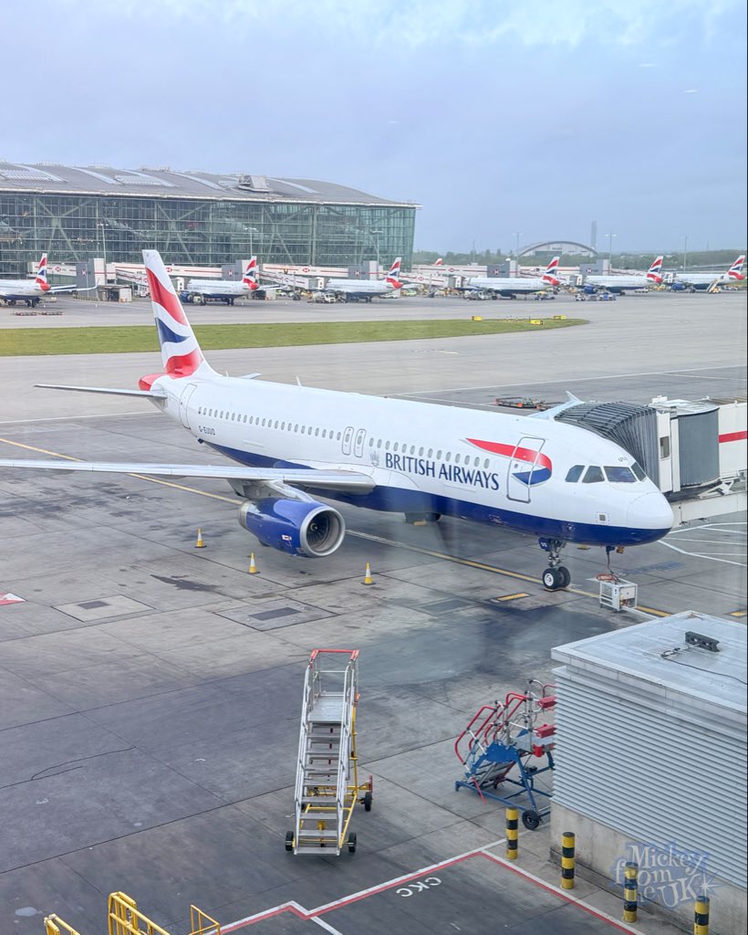 Mickey From The UK tweet media