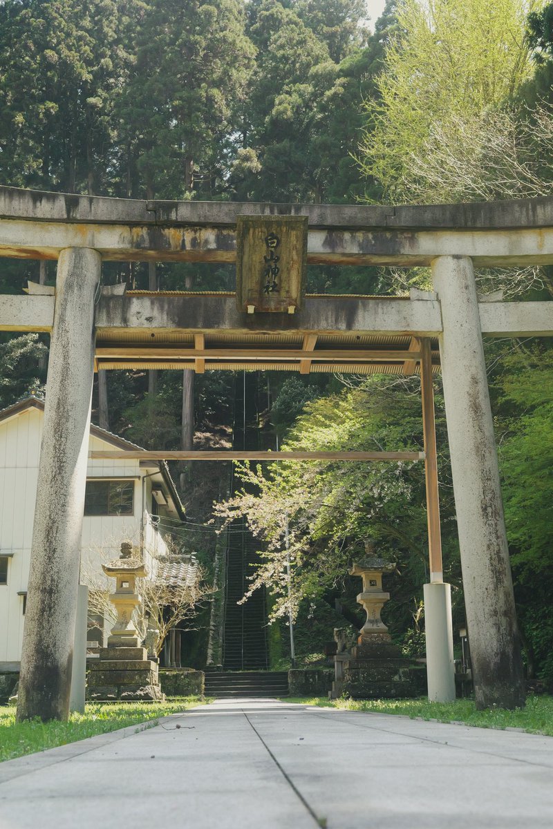 _yoshiba's tweet photo. 今日の散歩道 https://t.co/rCWtgRtekm