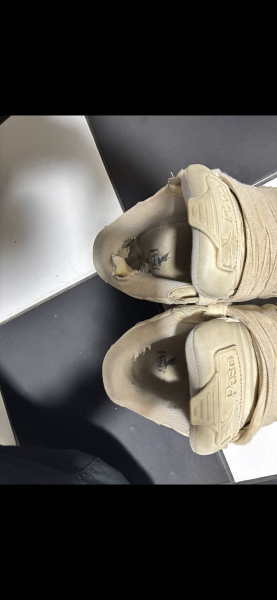 MasterHamfrey tweet media