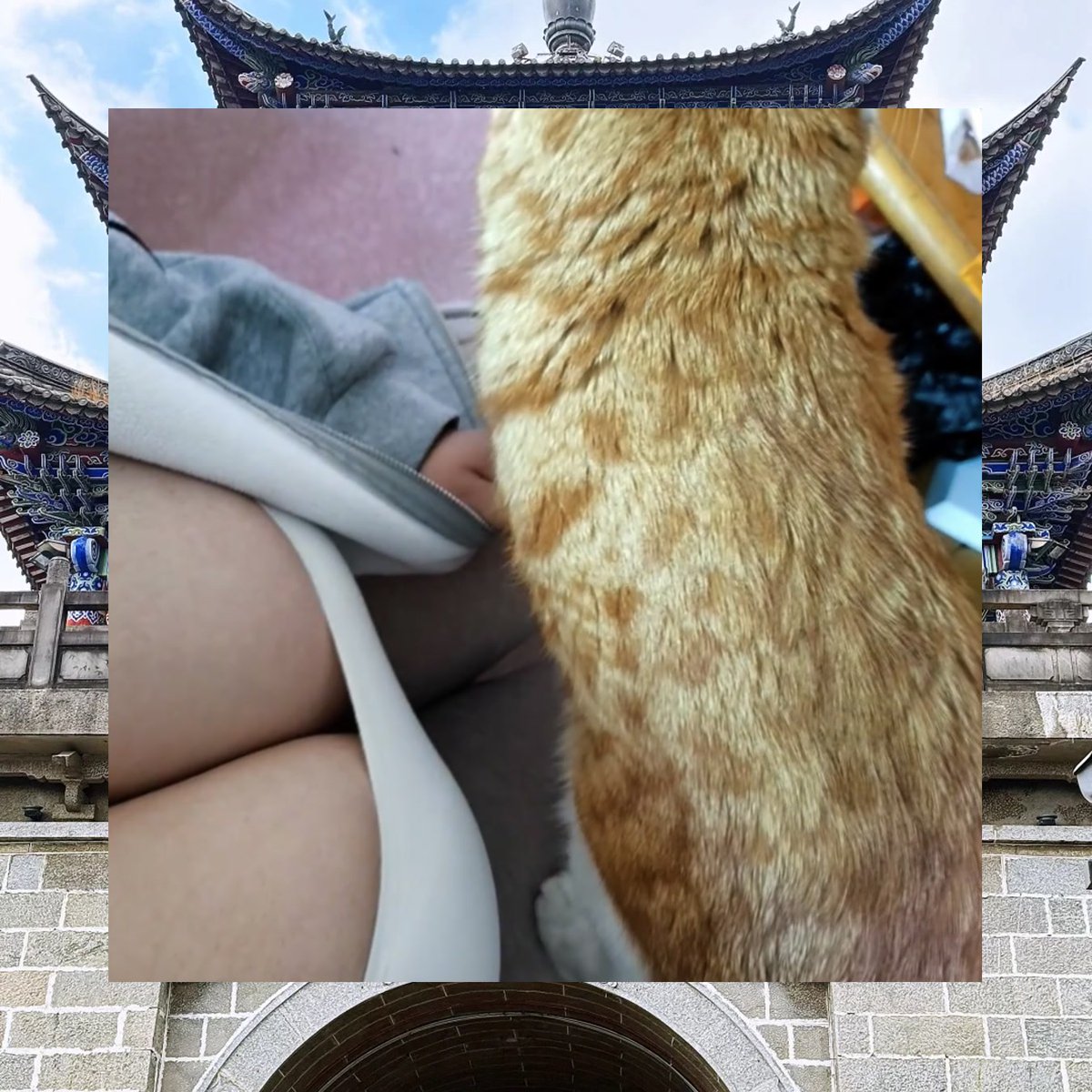 Krista Walker tweet media