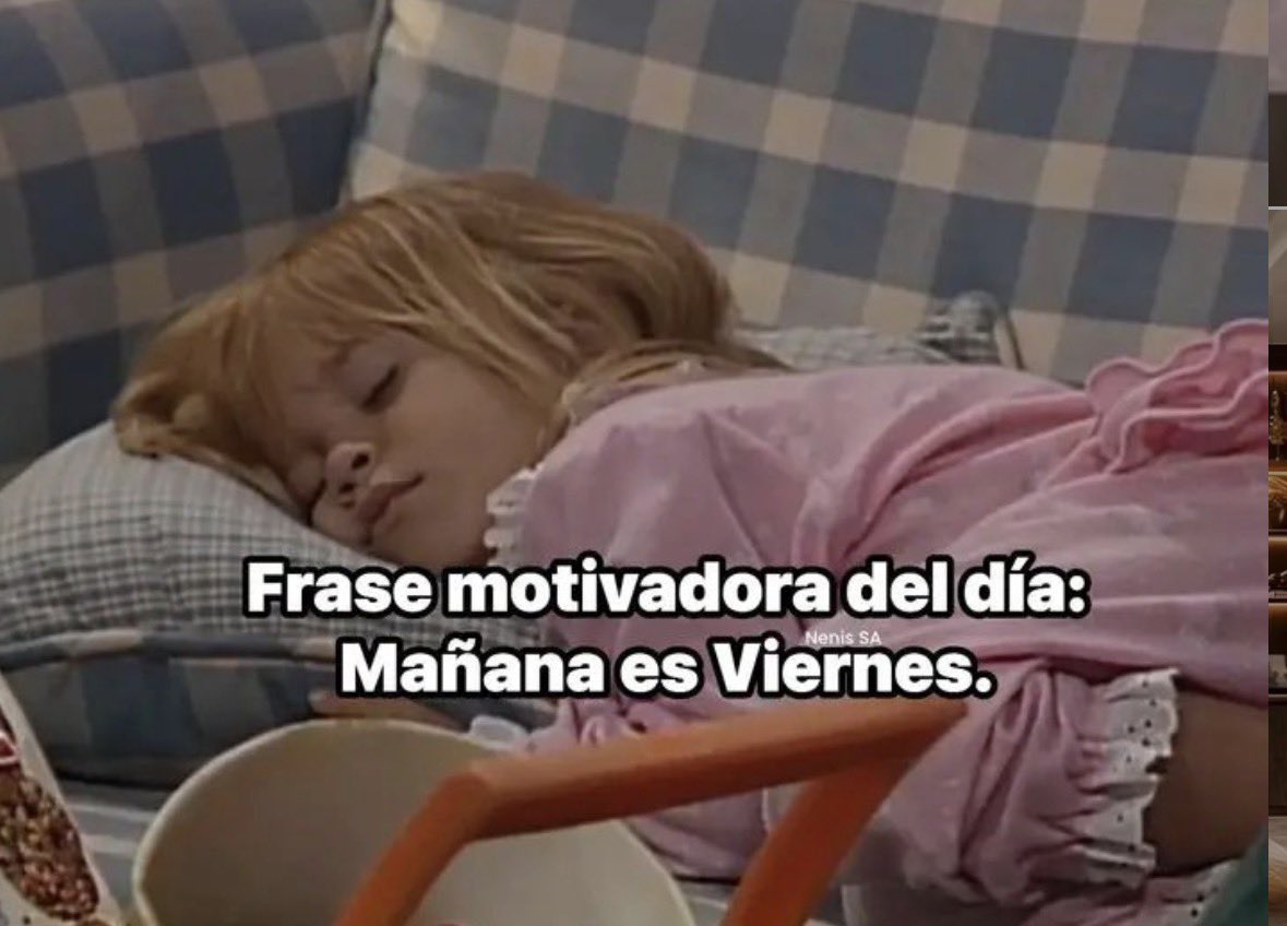 Rocio 🤍 🦖 tweet media