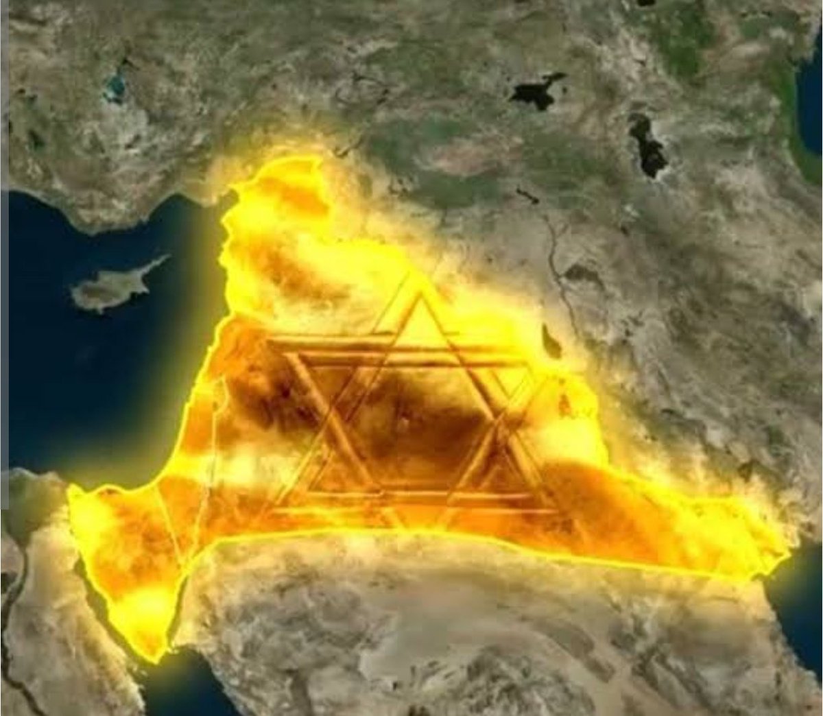 עקיבה סיימון 🧡 tweet media