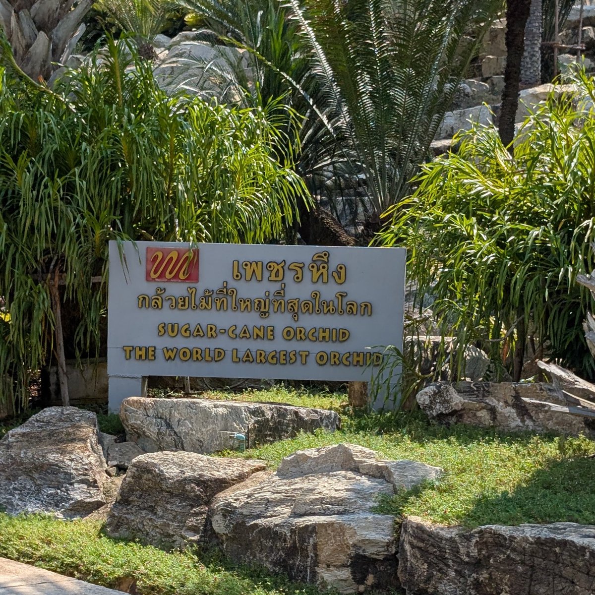 papyrusleaf's tweet photo. Mr. Kampon's mother bought the land in 1954 with plans to grow mangoes, coconuts and oranges. After travelling abroad and seeing what others were doing with the full potential of their land, she changed course entirely.

72 years later, Nong Nooch spans 640 acres of rolling hills and valleys. It holds over 1,500 palm species, a world-class cycad gene bank that conservation agencies rely on for preserving one of the planet's most endangered plant groups, an extraordinary bromeliad collection, orchids, bonsai, and themed gardens inspired by Versailles that draw researchers, tourists and botanists from across the world. 

There is a dedicated research center, a resort, and millions of visitors walking through every year, contributing actively to the preservation of plant species that exist almost nowhere else on earth.

All grown from land that was supposed to be an orange farm.