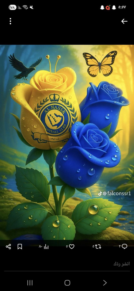 بو عبدالله(سبحان الله وبحمده سبحان الله العظيم tweet media