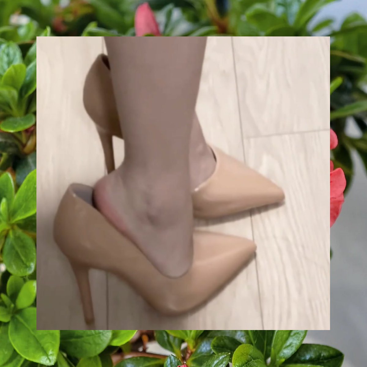 Jeff Harrison tweet media