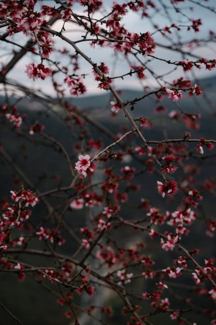 Richard Frey tweet media