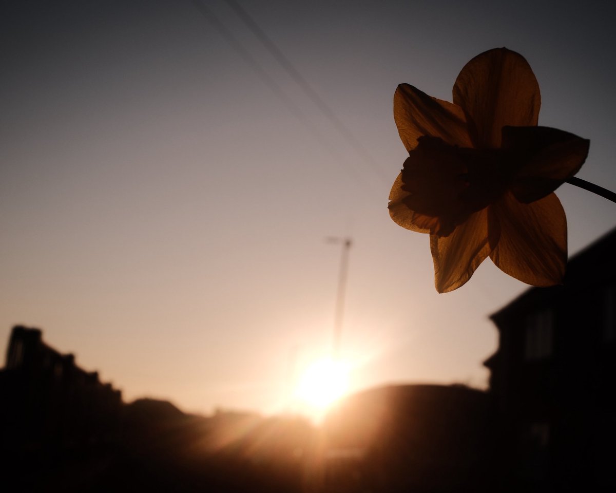 Start of spring my daughter entered a photography contest and we found out yesterday she got first place! These were her entries. Beyond proud!