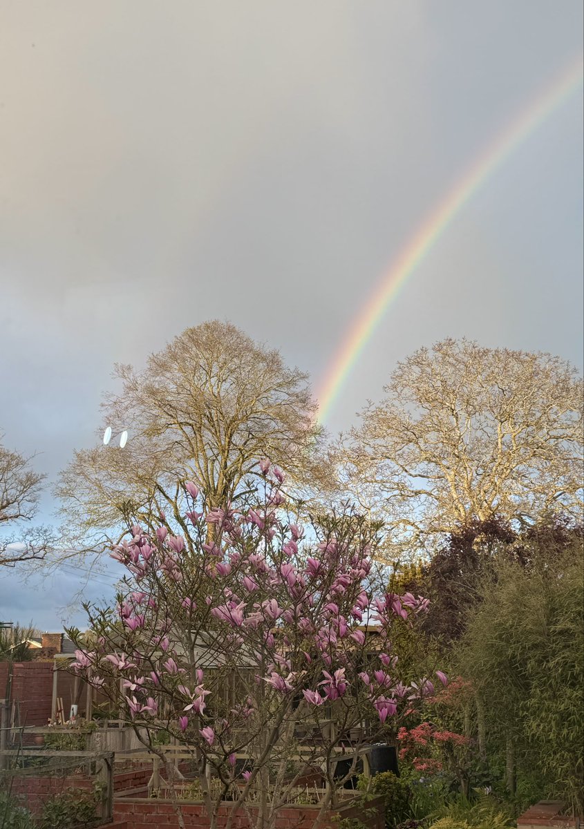 PotteringPolly's tweet image. There’s been so many occasions when it’s absolutely pouring down, but the suns out 💦☀️💦 Result.. lots of rainbows 🌈 
So not all bad! #weather #BritishWeather #LetsTalkAboutTheWeather 😄