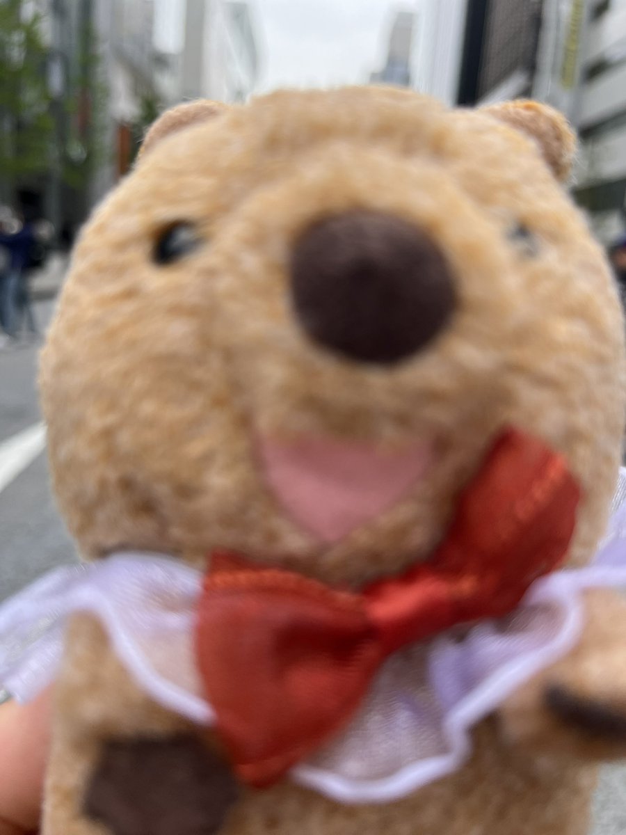 ぽぽえみもいこっかな〜ん、とゆるくふわっと連帯のきもちを示すぽぽえみくん