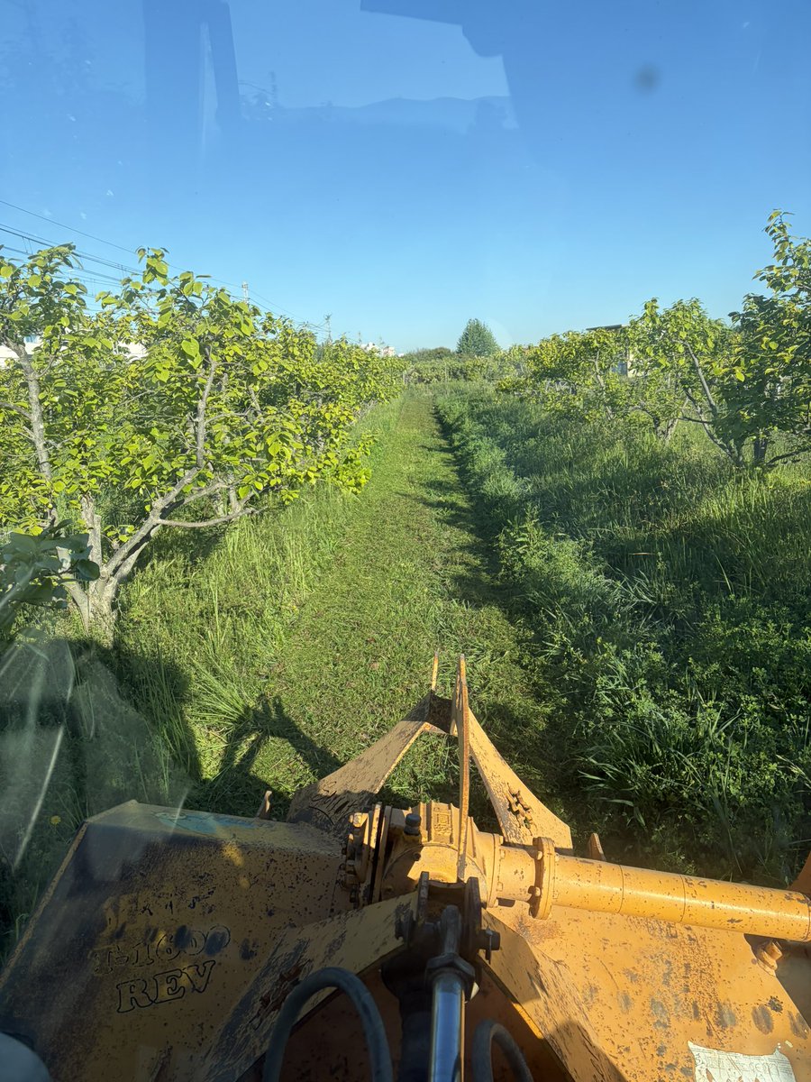 Nando Durà 🍊🍊 tweet media