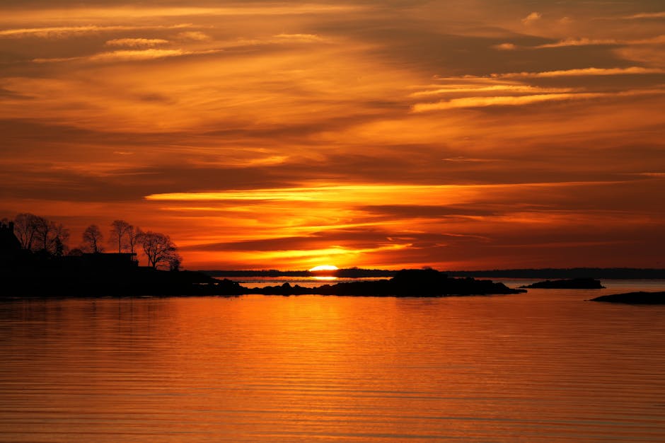 Justin Clark tweet media