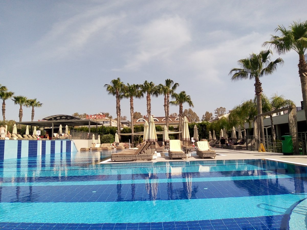 Sandy Tregent tweet media