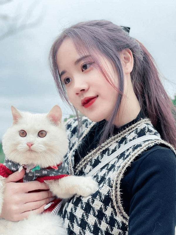 Mercedes Regina tweet media