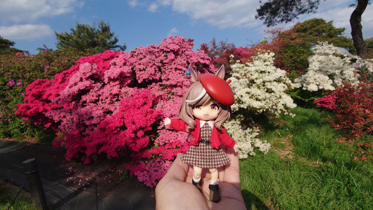 01えびちゃん tweet media