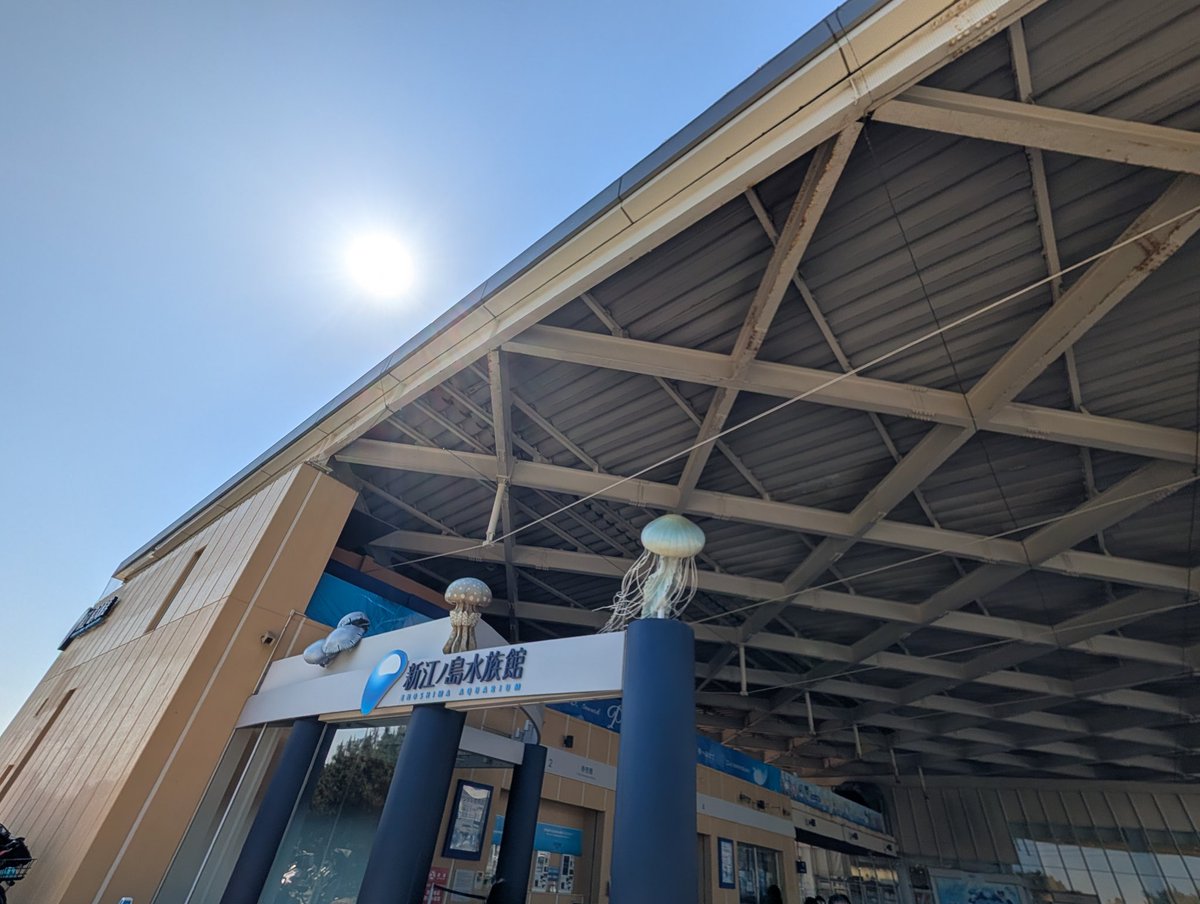 新江ノ島水族館の周辺
ウミディグダ湧いてました！
#えのすいの日