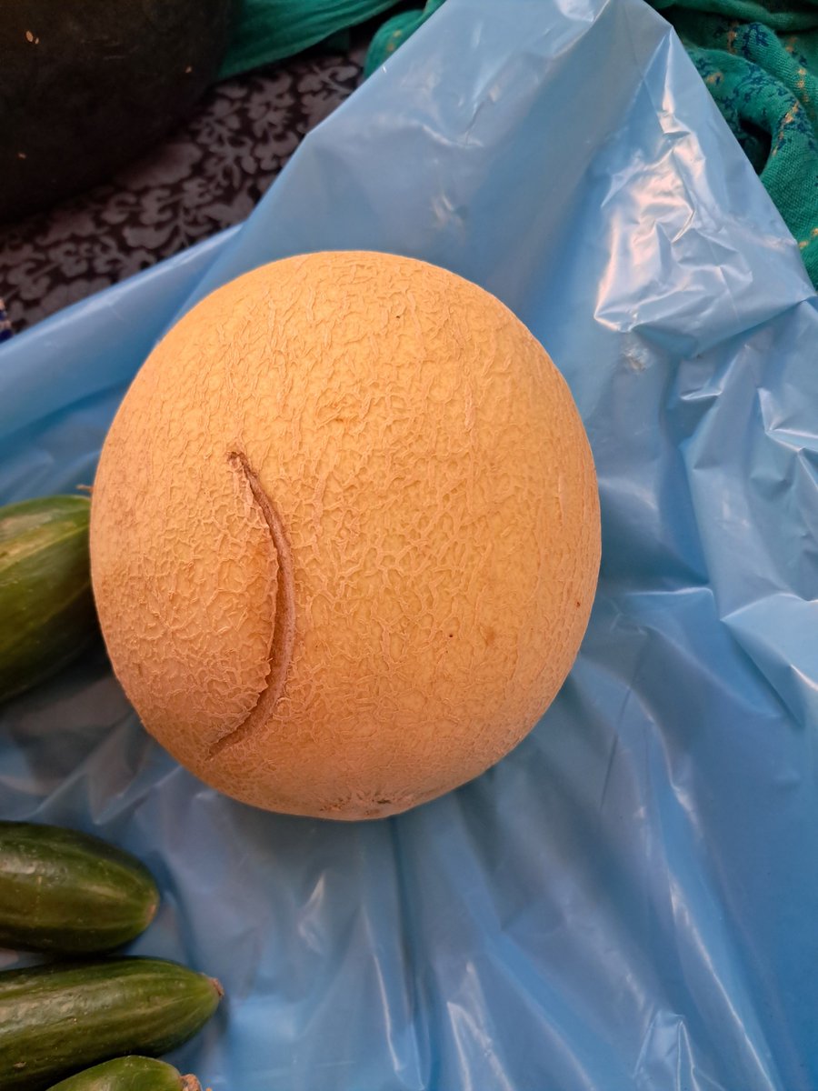 Pushpa Devi tweet media