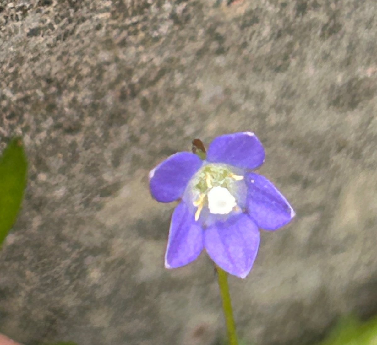 鵜田良江🎗 Yoshie Uda tweet media