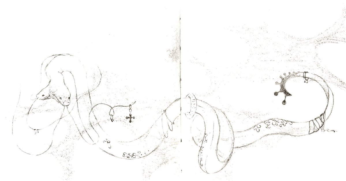 ᆞ𝒵ᆞᆞ𝑜 ᆞ𝑒 tweet media