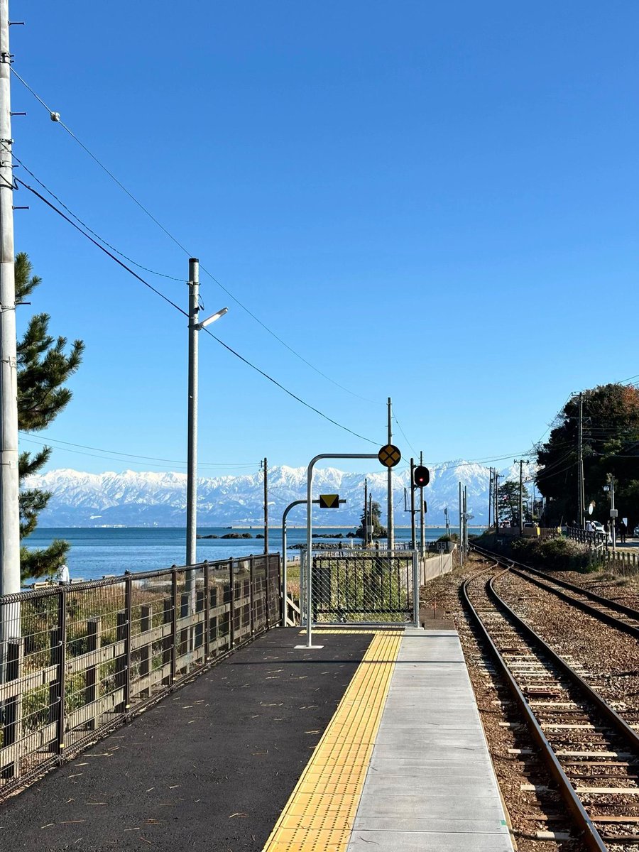 Fae°❀⋆. tweet media