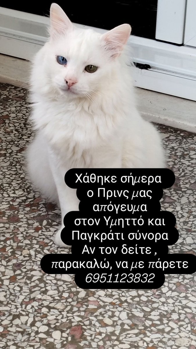 Χλε_Μπονα Σαμερ tweet media