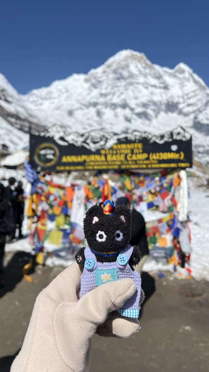 (28*) SO10³ tweet media