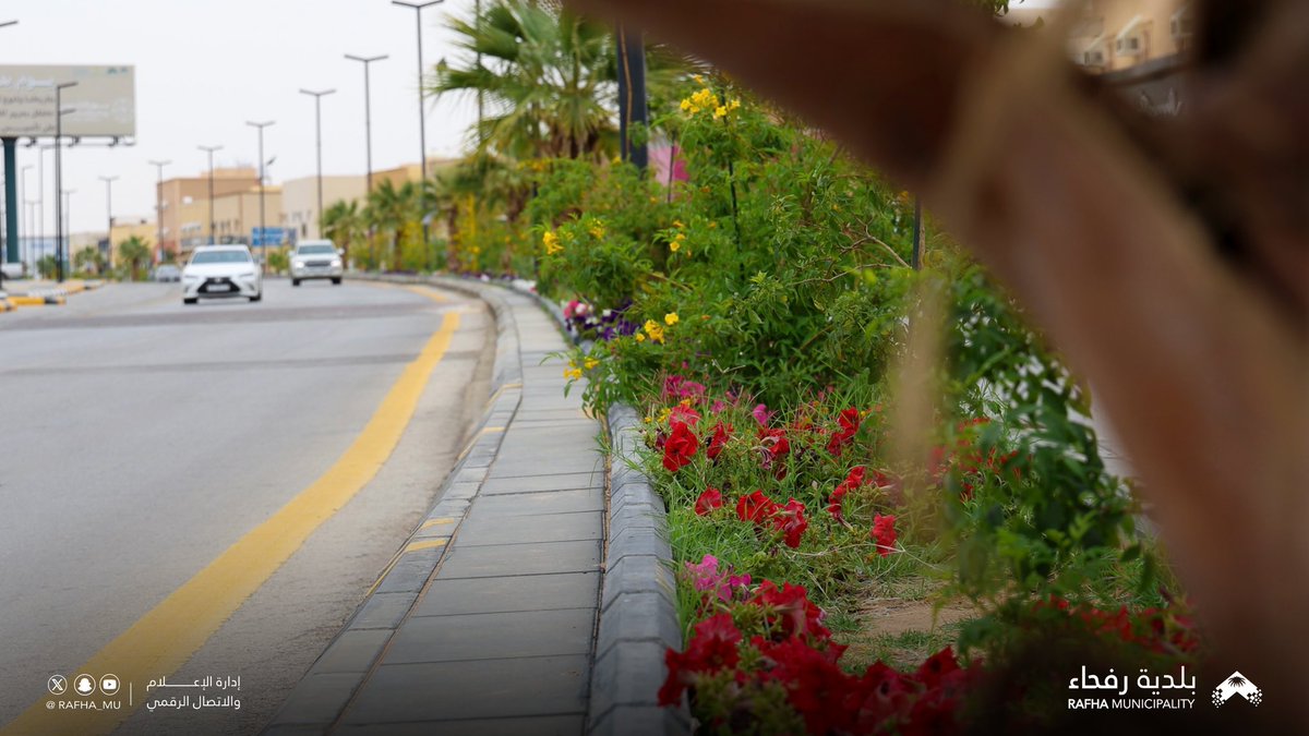 بلدية محافظة رفحاء tweet media