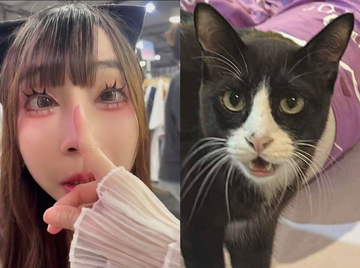 Fukada Myujikku Majo tweet media