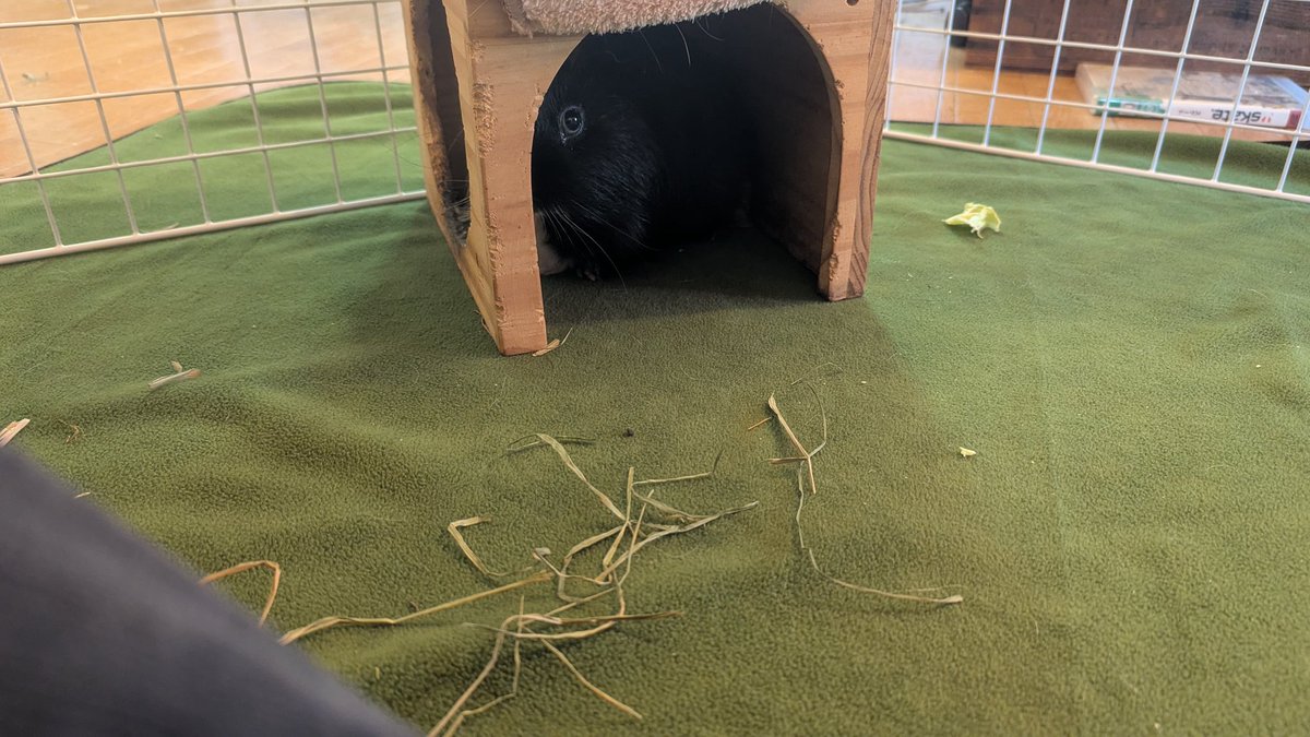 🫥Guess I am🪬 tweet media