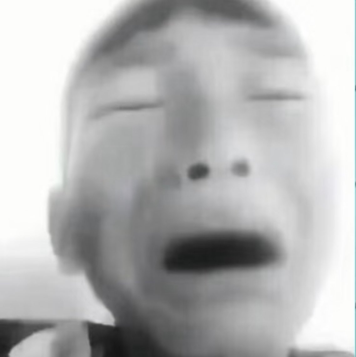 一只羊 tweet media