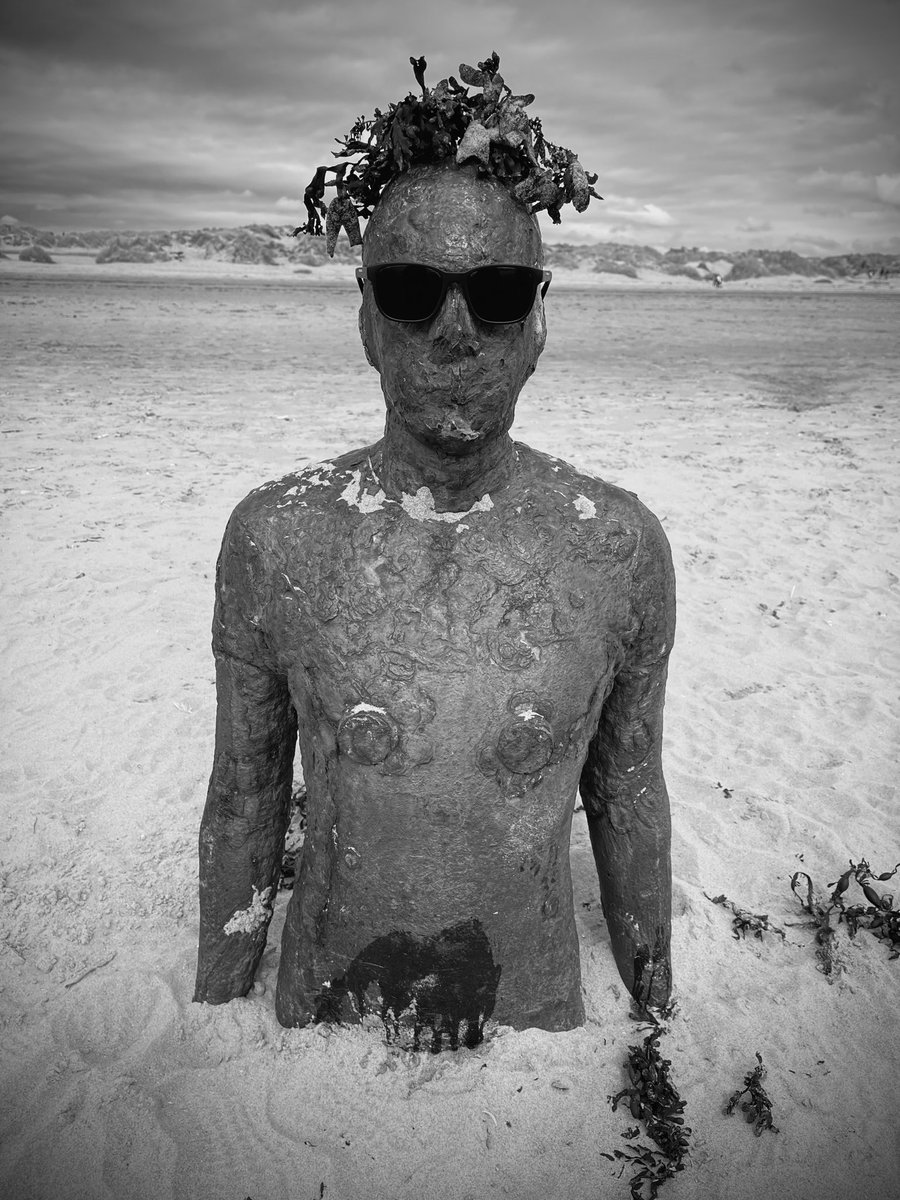 Will Sergeant tweet media