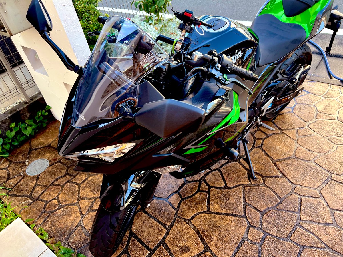 へーにゃ tweet media