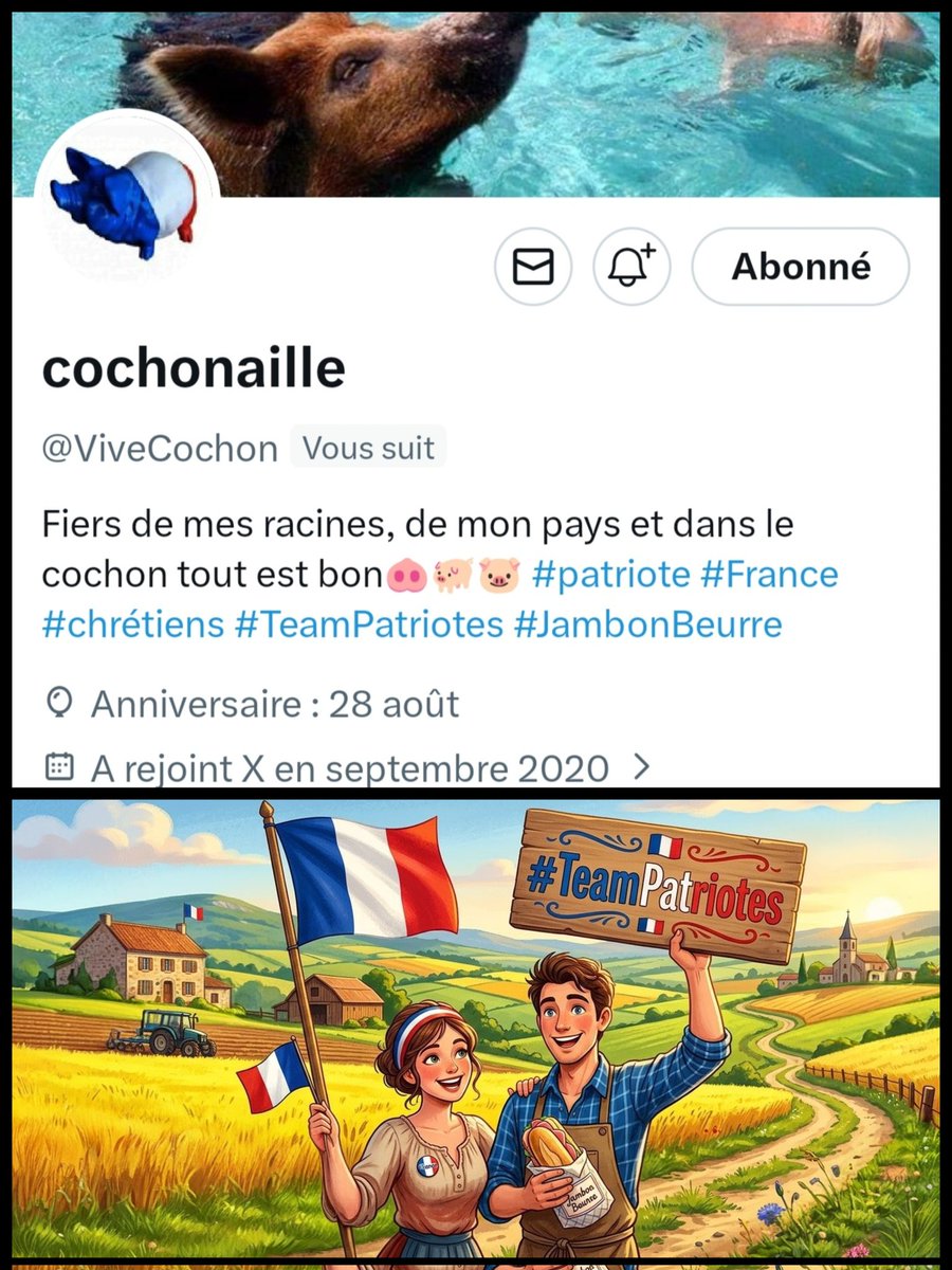 🇨🇵 Dédé 🇫🇷♿ tweet media