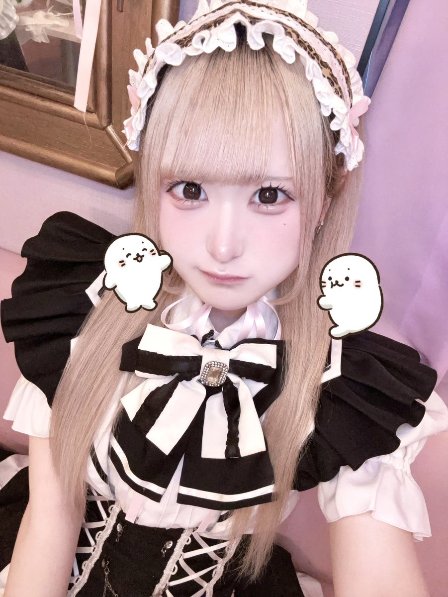 いるにゃん♥ tweet media