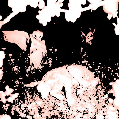 ꒰ 🎼 ꒱ ⸻ sybil ⟢ tweet media