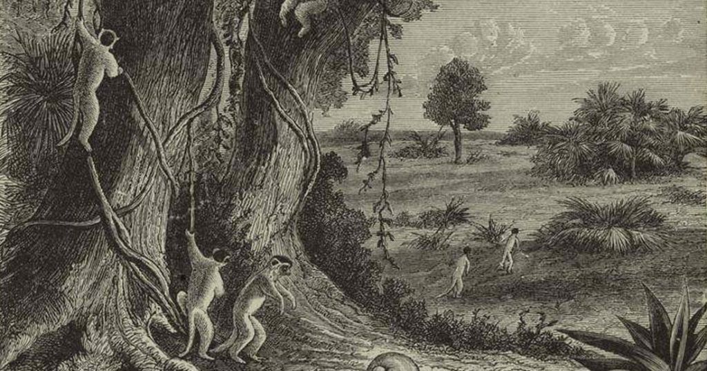 Daily Geek Show tweet media