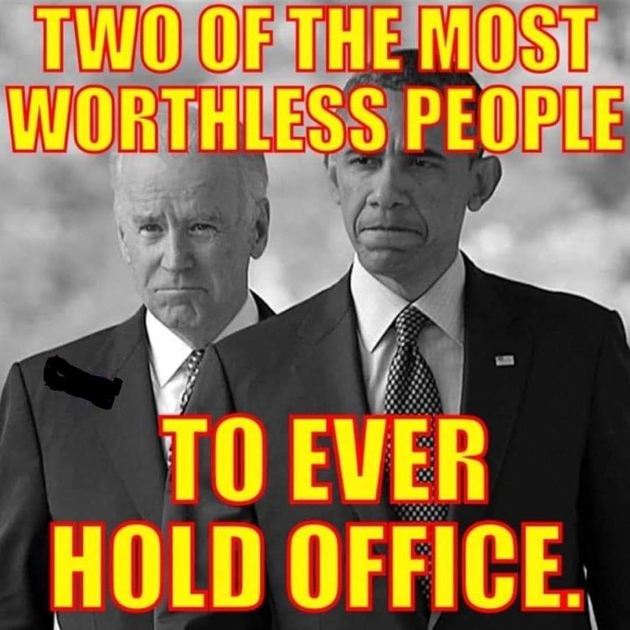 Shirley Hawkins tweet media