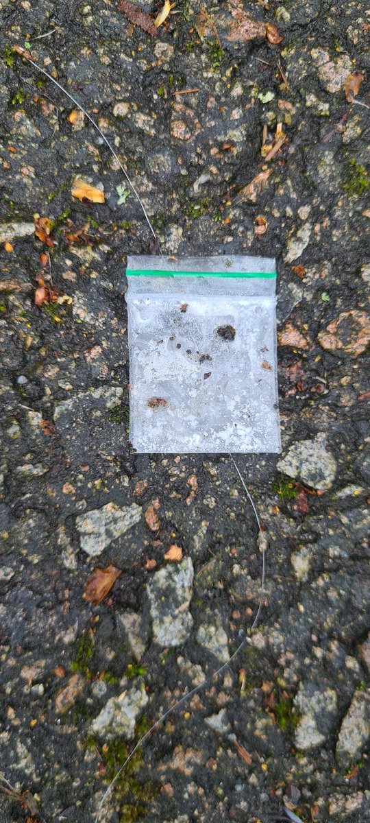 Mike The Litterpicker tweet media