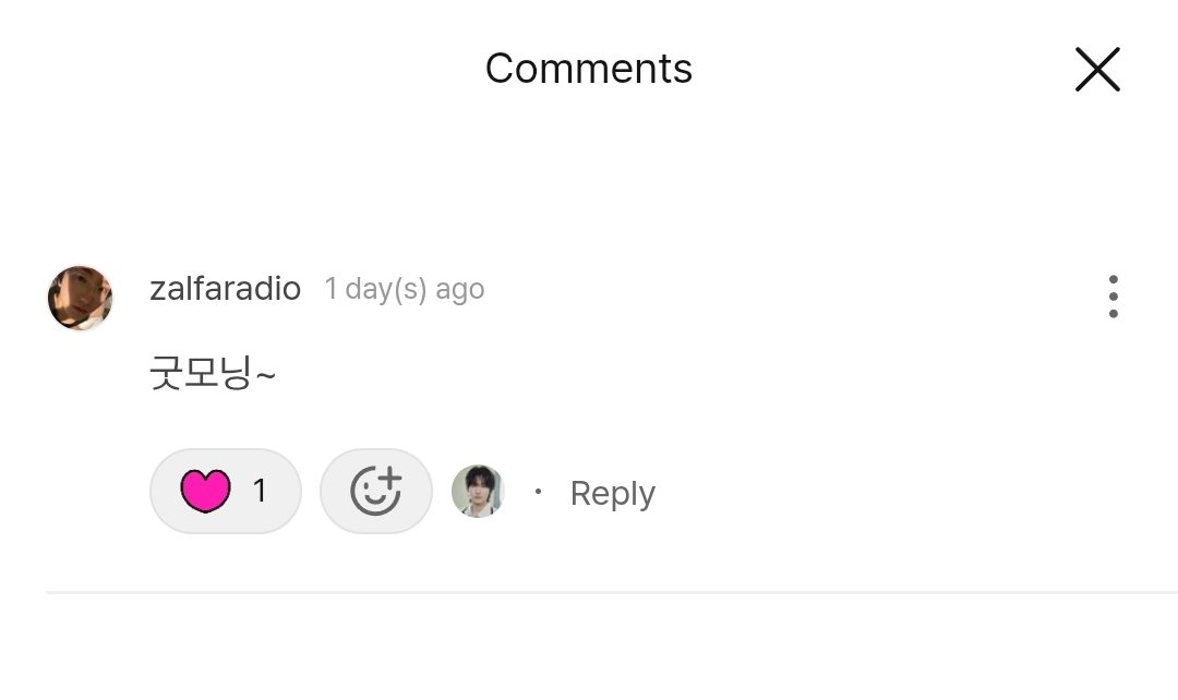 🕊️ pia tweet media