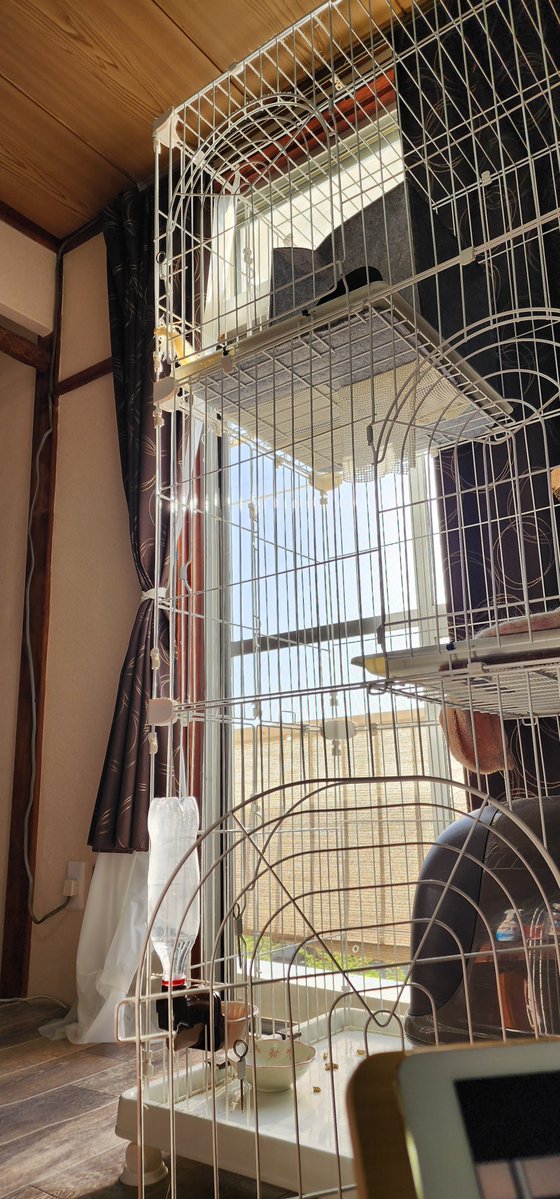 千千古さん tweet media