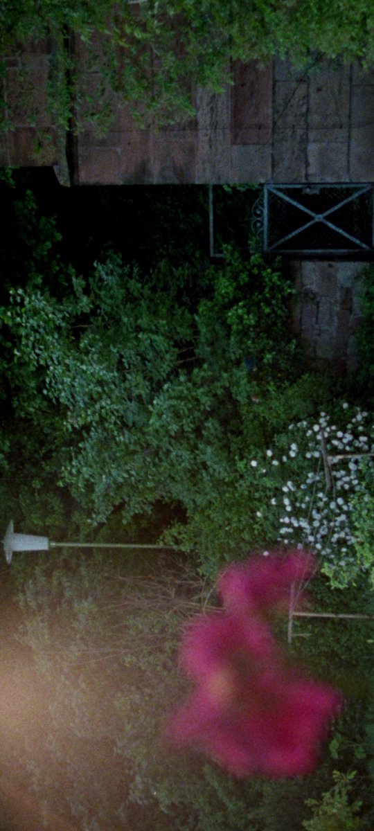 #침묵의친구 특히 보셔야하는 분들:
사주에 '목'이 부족한 사람

이분들을 위한 나무 배경화면 공유🌳