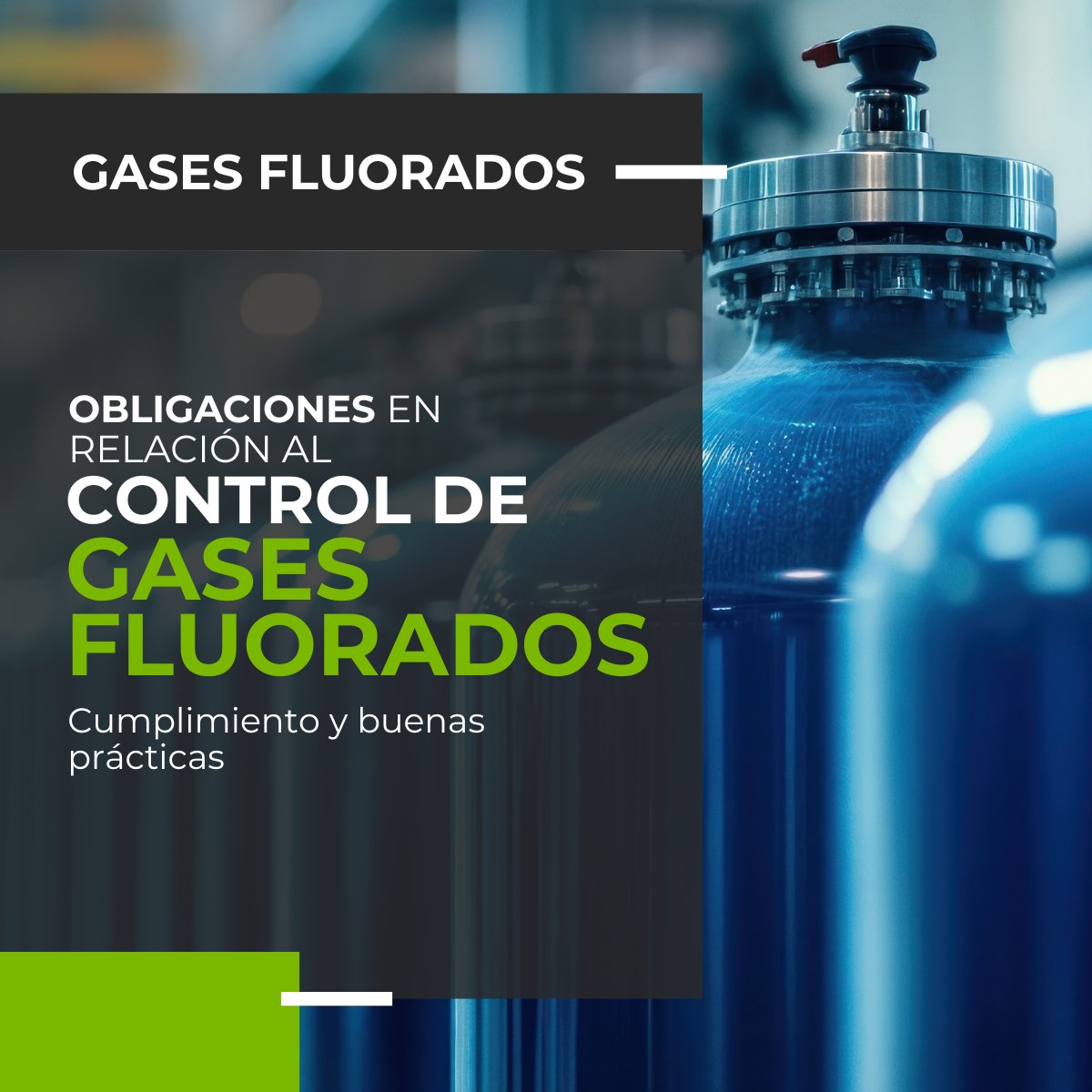 DidascaliaEG tweet media