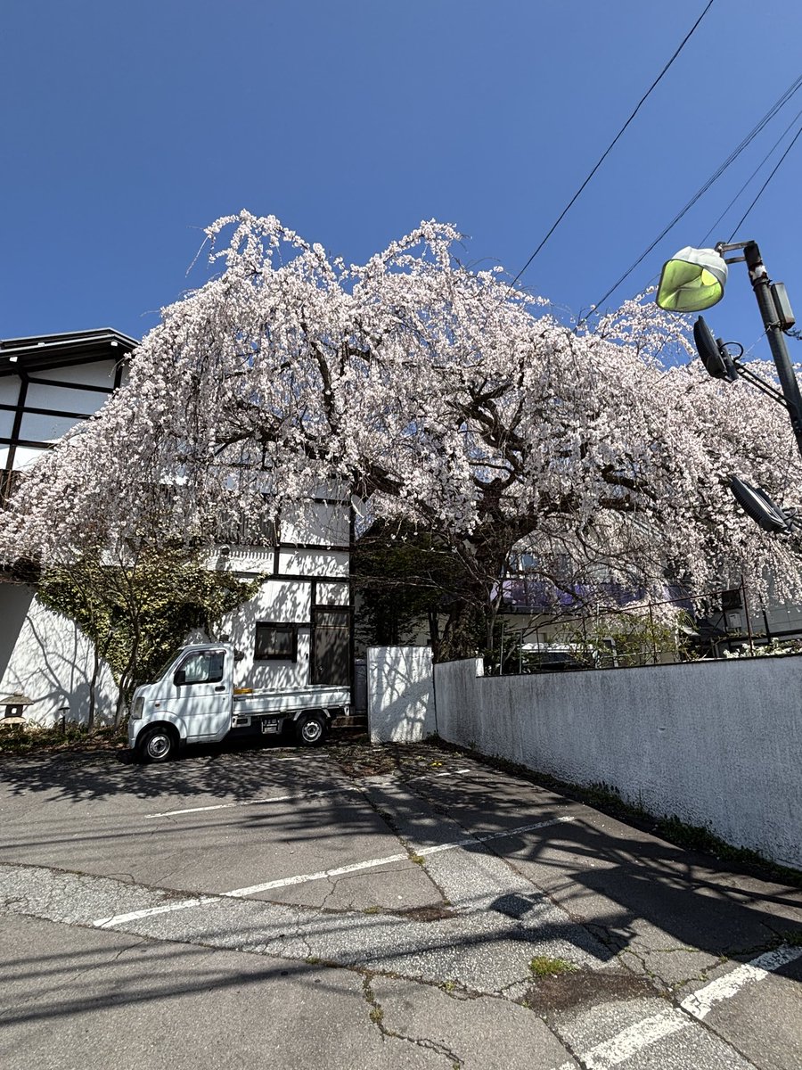 こん🍏 tweet media