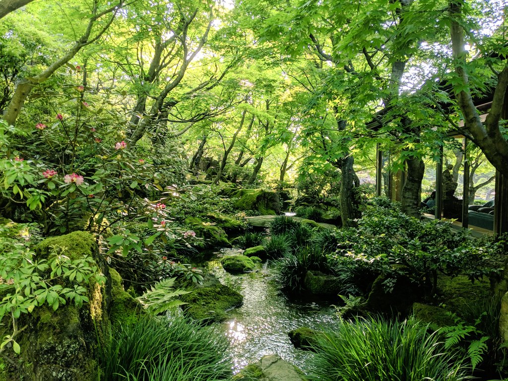 Mr.ばやし⭐️⭐️⭐️⭐️⭐️ tweet media