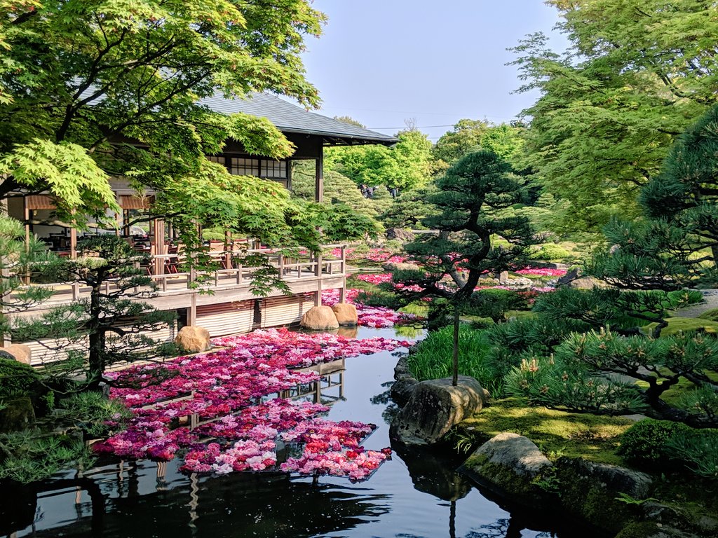 Mr.ばやし⭐️⭐️⭐️⭐️⭐️ tweet media