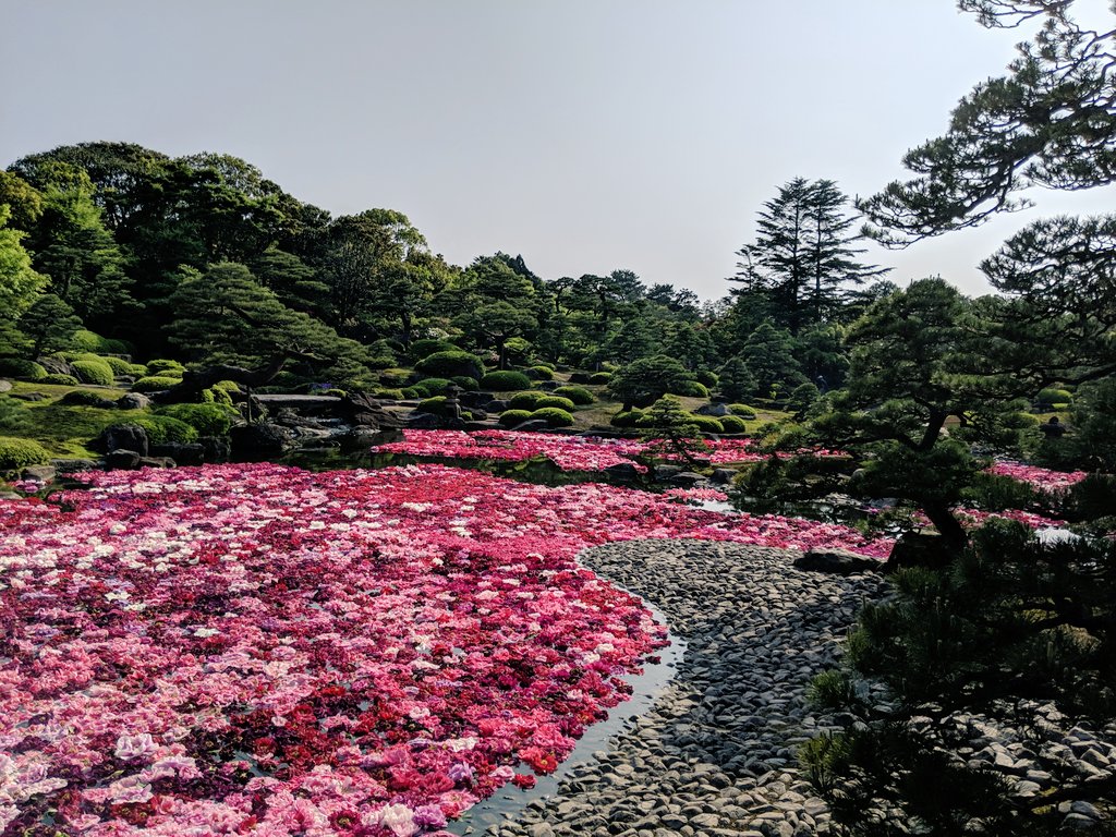 Mr.ばやし⭐️⭐️⭐️⭐️⭐️ tweet media